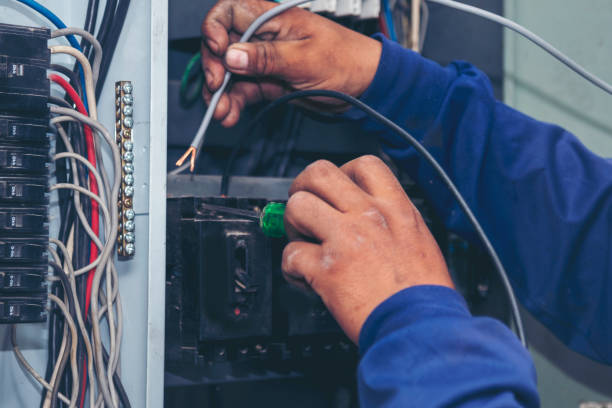 Best Electric Panel Repair  in Des Plaines, IL